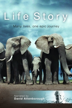 Watch Life Story Movies Online Free