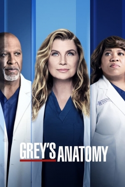 Watch Grey's Anatomy Movies Online Free