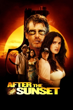 Watch After the Sunset Movies Online Free