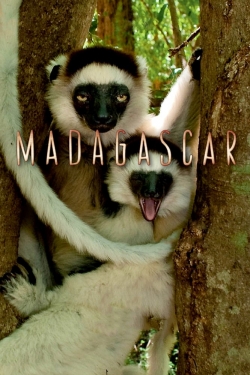 Watch Madagascar Movies Online Free