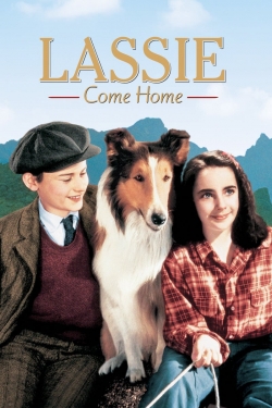 Watch Lassie Come Home Movies Online Free