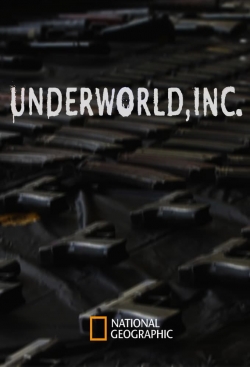 Watch Underworld, Inc. Movies Online Free