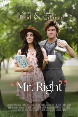 Watch Mr. Right Movies Online Free