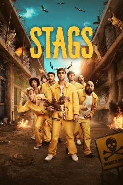 Watch Stags Movies Online Free