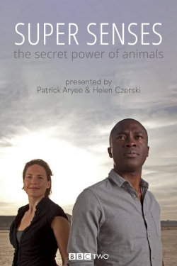 Watch Super Senses: The Secret Power of Animals Movies Online Free