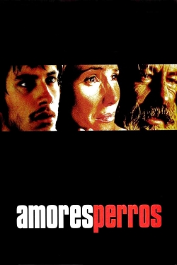 Watch Amores Perros Movies Online Free