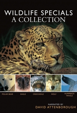 Watch BBC Wildlife Specials Movies Online Free