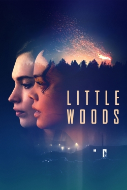 Watch Little Woods Movies Online Free