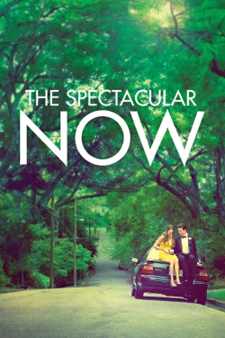 Watch The Spectacular Now Movies Online Free