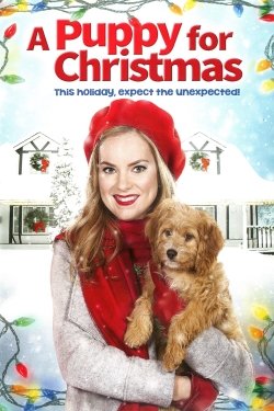 Watch A Puppy for Christmas Movies Online Free