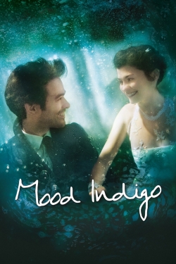 Watch Mood Indigo Movies Online Free