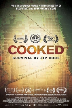 Watch Cooked: Survival by Zip Code Movies Online Free