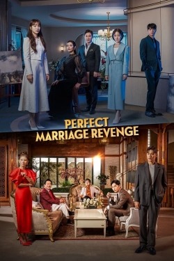 Watch Perfect Marriage Revenge Movies Online Free