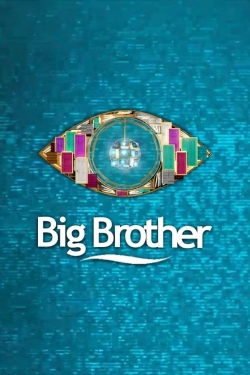 Watch Big Brother Movies Online Free