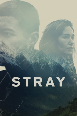 Watch Stray Movies Online Free