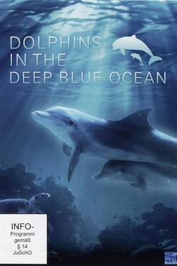 Watch Dolphins in the Deep Blue Ocean Movies Online Free