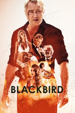 Watch Blackbird Movies Online Free