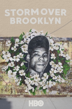 Watch Yusuf Hawkins: Storm Over Brooklyn Movies Online Free