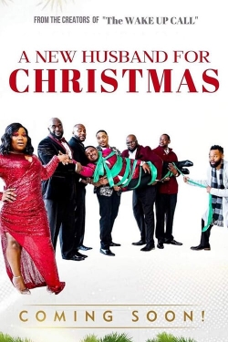 Watch A New Husband for Christmas Movies Online Free