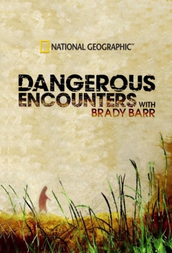 Watch Dangerous Encounters Movies Online Free