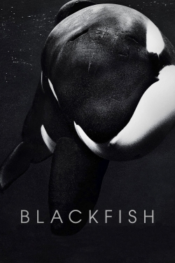 Watch Blackfish Movies Online Free