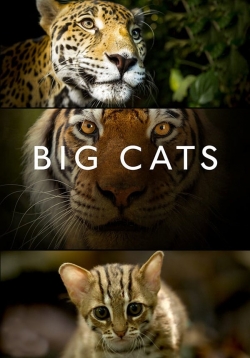 Watch Big Cats Movies Online Free