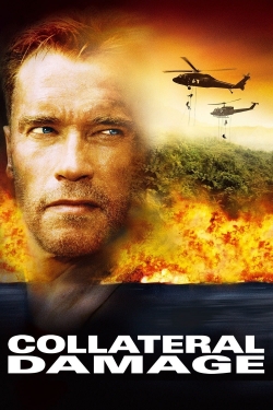 Watch Collateral Damage Movies Online Free