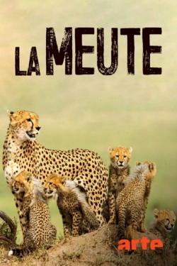 Watch La Meute Cinq guépards dans le Serengeti Movies Online Free