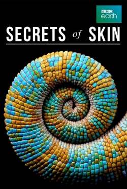 Watch Secrets of Skin Movies Online Free