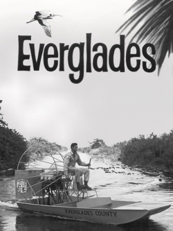 Watch Everglades Movies Online Free