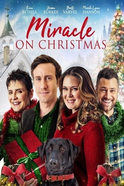 Watch Miracle on Christmas Movies Online Free