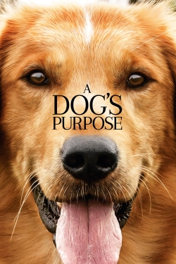 Watch A Dog's Purpose Movies Online Free