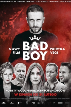 Watch Bad Boy Movies Online Free