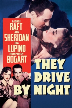 Watch They Drive by Night Movies Online Free