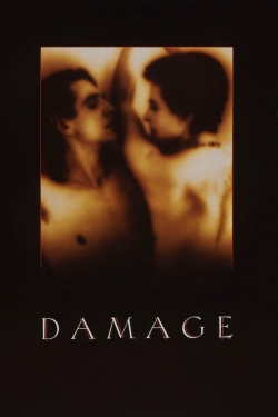 Watch Damage Movies Online Free