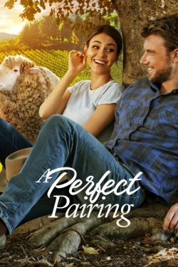 Watch A Perfect Pairing Movies Online Free