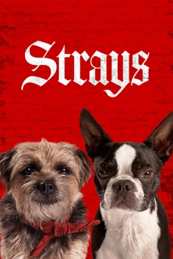 Watch Strays Movies Online Free