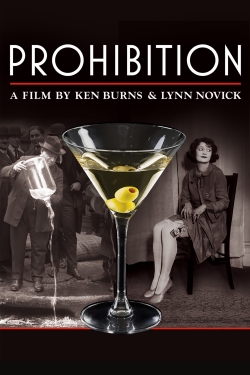 Watch Prohibition Movies Online Free