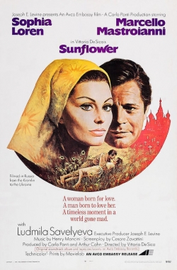 Watch Sunflower Movies Online Free