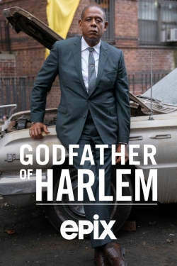 Watch Godfather of Harlem Movies Online Free