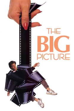 Watch The Big Picture Movies Online Free