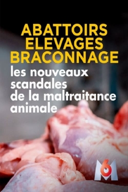 Watch Abattoirs, élevages, braconnage, les nouveaux scandales de la maltraitance animale Movies Online Free