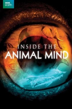 Watch Inside the Animal Mind Movies Online Free