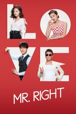 Watch Mr. Right Movies Online Free