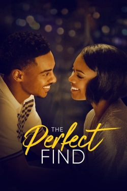 Watch The Perfect Find Movies Online Free