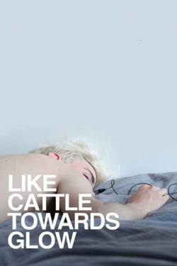 Watch Like Cattle Towards Glow Movies Online Free