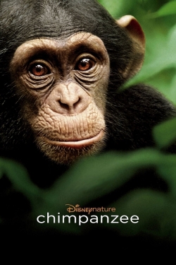 Watch Chimpanzee Movies Online Free