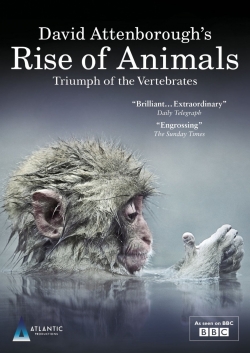 Watch David Attenborough's Rise of Animals: Triumph of the Vertebrates Movies Online Free