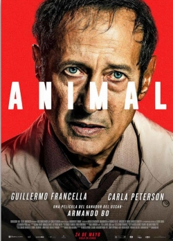 Watch Animal Movies Online Free