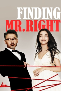 Watch Finding Mr. Right Movies Online Free